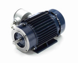 C363A Marathon 2 hp 1800 RPM 3-Phase  145TC Frame TEFC (rigid base) 230/460V Marathon Motor