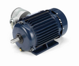 U002A Marathon 1 1/2 hp 1800 RPM 3-Phase 145T Frame TEFC (rigid base) 230/460V Marathon Motor