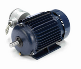 U003A Marathon 2 hp 1800 RPM 3-Phase 145T Frame TEFC (rigid base) 230/460V Marathon Motor