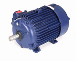 E501 Marathon 10 hp 1200 RPM 3-Phase 256T Frame TEFC (rigid base) 230/460V Marathon Motor