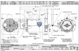 ACT125 US Motor | 1.25 THP 3450 RPM 56J 115/230V Pool Pump Motor
