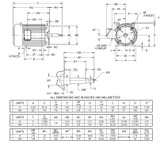 UJ25P2DM US Motors 25 hp 1800 RPM  3-phase 284JM Frame 208-230/460V Close-Coupled Pump Motor