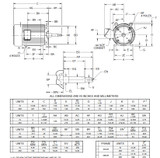 UJ30P2DM US Motors 30 hp 1800 RPM  3-phase 286JM Frame 208-230/460V Close-Coupled Pump Motor
