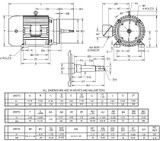 UJ30P2GM US Motors 30 hp 1800 RPM  3-phase 286JM Frame 575V Close-Coupled Pump Motor