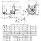 DJ3P2DP US Motors 3 hp 1800 RPM 3-phase 182JP 208-230/460V (ODP) Close-Coupled Pump Motor