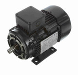 R373A Marathon | 1 hp 0.75 kW 230/460V 1800 RPM 3-Phase 80C Frame TEFC (rigid base) Motor