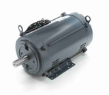 140816.00 Leeson 10 hp 1800 RPM 230V 215TVZ Frame (Rigid Base) DPAO 1-Phase Tobacco Barn Motor