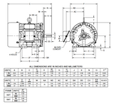 HD2P3H Nidec 2 hp 1200 RPM 184T Frame (Rigid Base) 200-208V TEFC 3-Phase Electric Motor