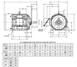 HD15P1H Nidec 15 hp 3600 RPM 254T Frame (Rigid Base) 200V TEFC 3-Phase Electric Motor