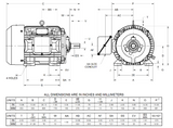HD25P1HS Nidec 25 hp 3600 RPM 284TS Frame (Rigid Base) 200-208V TEFC 3-Phase Electric Motor