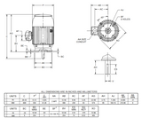 C20P2DCR Nidec 20 hp 1800 RPM 256TC Frame (Vertical) 208-230/460V TEFC 3-Phase C-Face Motor