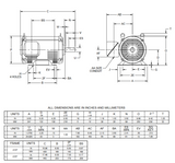 D2P4E Nidec 2 hp 900 RPM 213T Frame (Rigid Base) 230/460V ODP 3-Phase Electric Motor