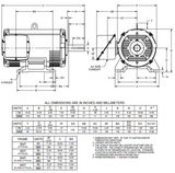 D40P4E Nidec 40 hp 900 RPM 365T Frame (Rigid Base) 230/460V ODP 3-Phase Electric Motor