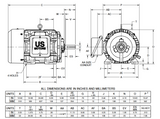 A15P1C Nidec 15 hp 3600 RPM 256 U Frame (Rigid Base) 460V TEFC 3-Phase Automotive Duty Motor