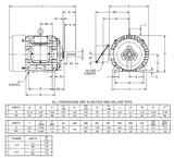 HD10V2B Nidec 10 hp 1800 RPM 215T (Rigid Base Cast Iron) 230/460V TEFC Inverter-Duty 3-Phase Motor