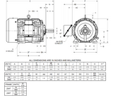HD10V3B Nidec 10 hp 1200 RPM 256T (Rigid Base Cast Iron) 230/460V TEFC Inverter-Duty 3-Phase Motor