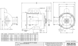 T34CA1J Nidec 3/4 hp 3600 RPM 115/208-230V 56 Frame (Rigid Base) 1-Speed TEFC Cap Start Motor