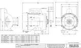 T1CA1J Nidec 1 hp 3600 RPM 115/208-230V 56 Frame (Rigid Base) 1-Speed TEFC Cap Start Motor
