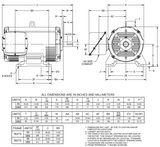 FF60E2XS Nidec 60 hp 1800 RPM 200/400V ODP 364TS (Rigid Base) 3-Phase Fire Pump Motor