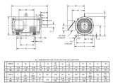 DH30S2BF Nidec 30 hp 1800 RPM 230/460V ODP 284T (Rigid Base) 3-Phase Dry Elevator Motor
