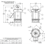 HO75V2SLG Nidec 75 hp 1800 RPM 460V 3-phase 365TP Frame Inverter-Duty Vertical Holloshaft Motor