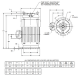 CHT5V2BLE Nidec 5 hp 1800 RPM 230/460V 3-phase 184TP Frame TEFC Vertical CORRO-DUTY Motor