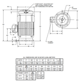 CHT100V2CLG Nidec 100 hp 1800 RPM 460V 3-phase 405TP Frame TEFC Holloshaft CORRO-DUTY Motor