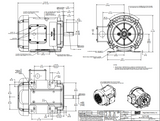 FX34FK003 | 3/4 HP 1800 RPM 56C 575V 3 Phase TEFC, FLEX-IN-1 Marathon Electric Motor