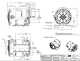 FX13BK001 | 1/3 HP 3600 RPM 56C 208-230/460V 3 Phase ODP, FLEX-IN-1 Marathon Electric Motor