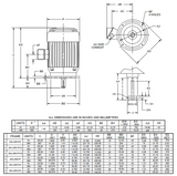 NO30P2BE Nidec 30 hp WPI 1800 RPM 230/460V 3-phase 286VPZ Frame TEFC Vertical Solid Shaft Motor