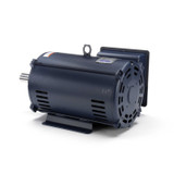 141430.00 Leeson |  10 hp 1725 RPM 215TZ Frame 230 Volts Open Drip