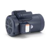 120060.00 Leeson |  2 hp 1800 RPM 145TC Frame TEFC C-Face (no base) 115/230V