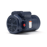 120824.00 Leeson |  3 hp 3600 RPM 145TC Frame TEFC C-Face (no base) 230V