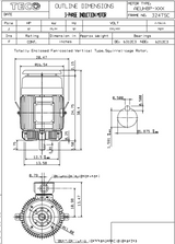 NPV0402C TECO-Westinghouse 40 HP 3600 RPM 324TSC 230/460V TEFC Vertical Severe Duty 3-Ph Motor