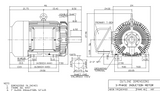 CDP1008 TECO-Westinghouse 100 hp 900 RPM 445T 230/460V TEFC 3-Phase Petro-Chem Crusher Motor
