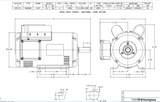 SP0/74 TECO-Westinghouse 3/4 HP 1800 RPM 143T Frame 115/208-230V ODP Rolled Steel 1-Ph Motor