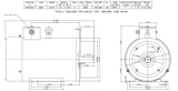 WP0102C TECO-Westinghouse 10 HP 3600 RPM 215TC Frame 230/460V TEFC Stainless Steel 3-Ph F3 Motor