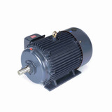 GT1027A Marathon 25 hp 3600 RPM 284TS Frame 208-230/460V TEFC Marathon Electric Motor