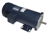 098000.00 Leeson |  1/2 hp 1750 RPM 90 Volts DC 56C Frame TEFC