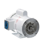114637.00 Leeson |  2 hp 3600 RPM 56HC Frame (Rigid Base) C-Face 115/208-230V Wash Down Duty