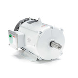 140819.00 Leeson |  7.5 hp 1800 RPM 213T Frame 230/460V Wash Down Duty