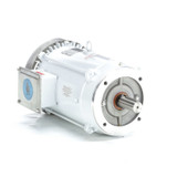141269.00 Leeson |  10 hp 3600 RPM 215TC Frame TEFC (no base) C-Face 230/460V Wash Down Duty