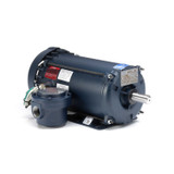 121917.00 Leeson |  2 hp 1725 RPM 145T 230/460V TEFC Explosion Proof