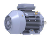 R328A Marathon 7.5 hp 5.5 kw 1800 RPM 132S Frame 230/460V Marathon Electric Metric Motor