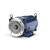 Z411 Marathon 7.5 hp 1800 RPM 215JM Frame 230V ODP Marathon Close Couple Motor