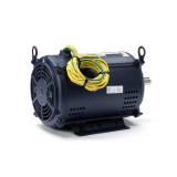 140641.00 Leeson |  10-15 hp 3450 RPM 215TZ 208-220/440V; 3-Phase Crop Dryer Motor