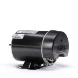 BN24V1 Century 3/4 hp 3450 RPM 48Y Frame 115V Above Ground Swimming Pool Motor Century # BN24V1