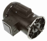 C331V1 Century 1/2 hp 1800 RPM 56N Frame TEFC 115/230V Auger Drive Motor