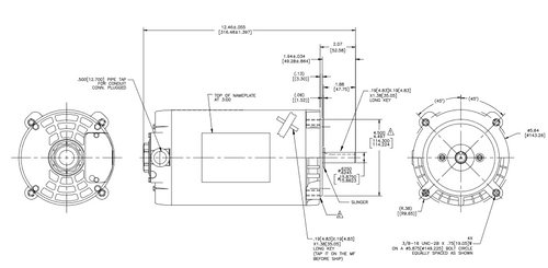 H609ES Century 1-1/2 hp 3600/2850 RPM 3-Phase 56C Frame ODP (no base) 230/460V Century Pump Motor # H609ES