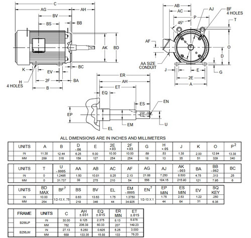 UJ20P1DM US Motors 20 hp 3600 RPM  3-phase 256JM Frame 208-230/460V Close-Coupled Pump Motor